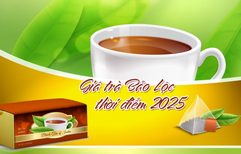 Giá trà Bảo Lộc ở mức bao nhiêu thời điểm 2025