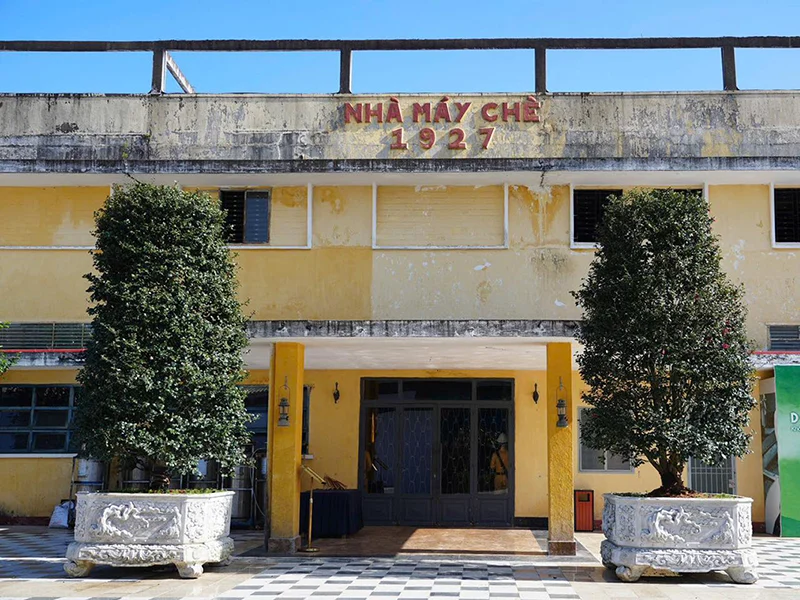 Lễ hội Trà 2025